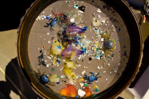 Les micro-plastiques, omniprésents dans les océans, font la taille d'un confetti.  © Algalita Marine Research Institute 